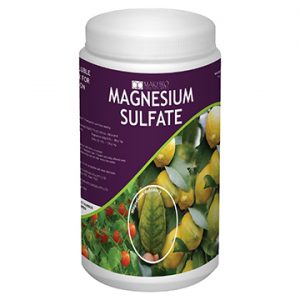 Magnesium Sulfate 1kg