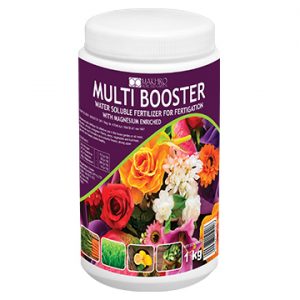 MULTI BOOSTER